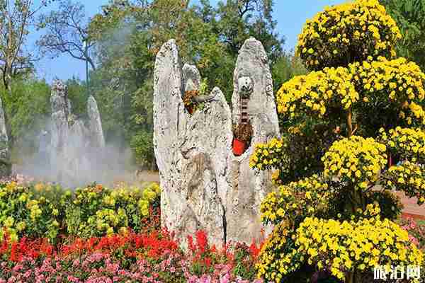 2019開封菊花展10月17日開幕 持續時間+活動內容+菊花門票 2019開封菊花展10月17日開幕 持續時間+活動內容+菊花門票