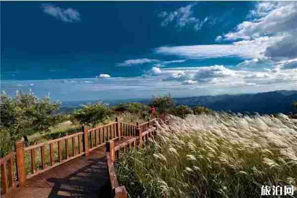 2019洛陽國慶活動安排 2019洛陽國慶活動安排