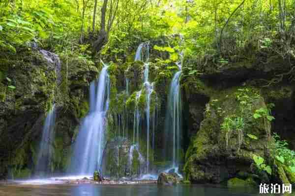 2019洛陽國慶活動安排 2019洛陽國慶活動安排