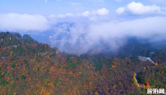 神农架交通方便吗 神农架旅游攻略 神农架交通方便吗 神农架旅游攻略