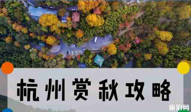 杭州赏秋的地方有哪些 杭州秋天去哪里玩比较好 杭州赏秋的地方有哪些 杭州秋天去哪里玩比较好