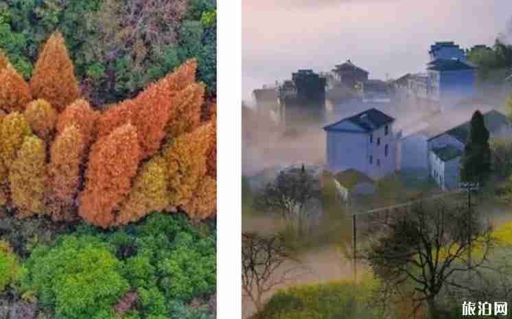杭州赏秋的地方有哪些 杭州秋天去哪里玩比较好 杭州赏秋的地方有哪些 杭州秋天去哪里玩比较好
