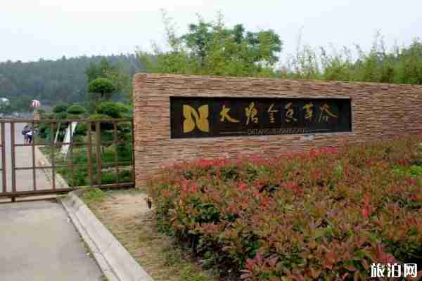 大塘金香草谷几月份 大塘金香草谷营业时间+门票+停车 大塘金香草谷几月份 大塘金香草谷营业时间+门票+停车