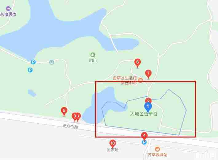 大塘金香草谷幾月份 大塘金香草谷營業時間+門票+停車