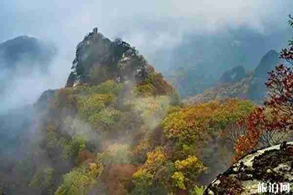 丹東楓葉什么時候變紅+哪里最好 丹東楓葉什么時候變紅+哪里最好
