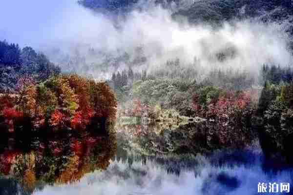 丹東楓葉什么時候變紅+哪里最好 丹東楓葉什么時候變紅+哪里最好