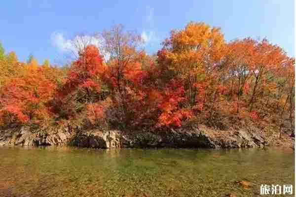 丹東楓葉什么時候變紅+哪里最好 丹東楓葉什么時候變紅+哪里最好