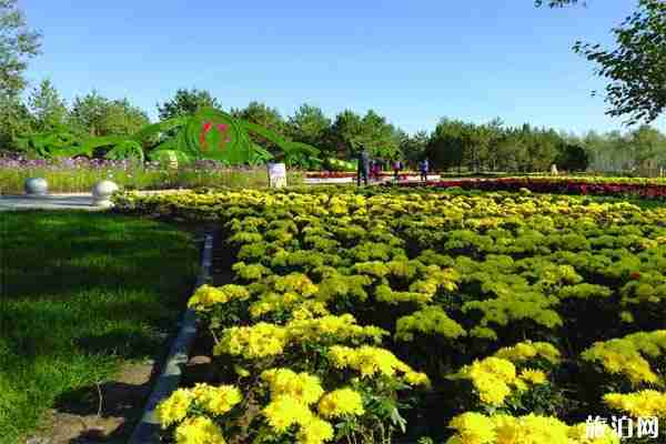 2019年齊齊哈爾梅里斯湖菊花節時間+地址+活動介紹
