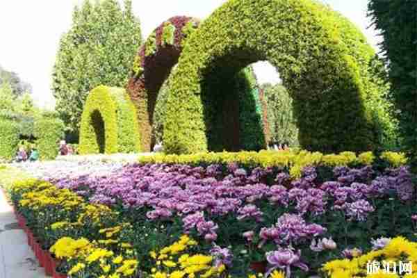 蘭州植物園菊花展9 月 29 日開啟 附菊花展內容