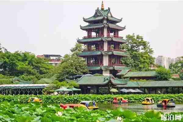 成都哪里可以看桂花+攻略