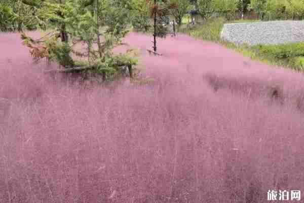 安順網(wǎng)紅景點推薦 安順網(wǎng)紅景點推薦