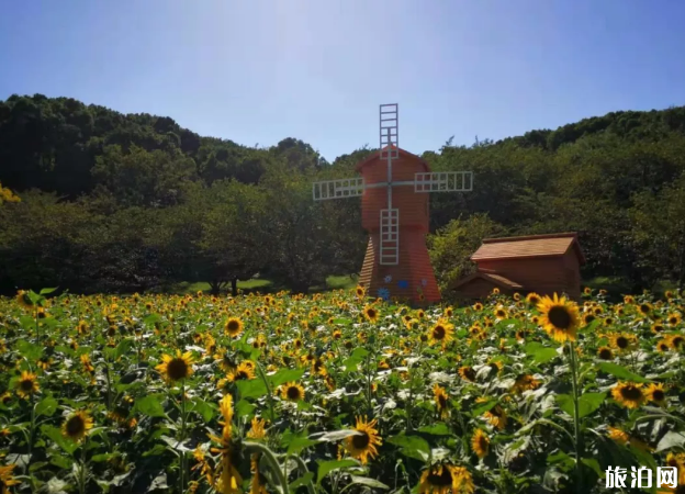 蘇州秋天賞花去哪兒 蘇州秋季賞花攻略