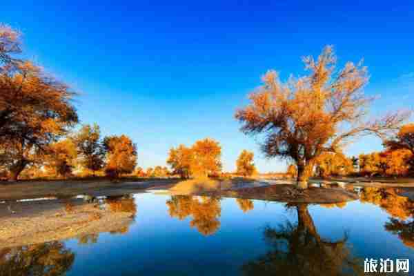 新疆的景點有哪些 去新疆怎么玩 新疆的景點有哪些 去新疆怎么玩