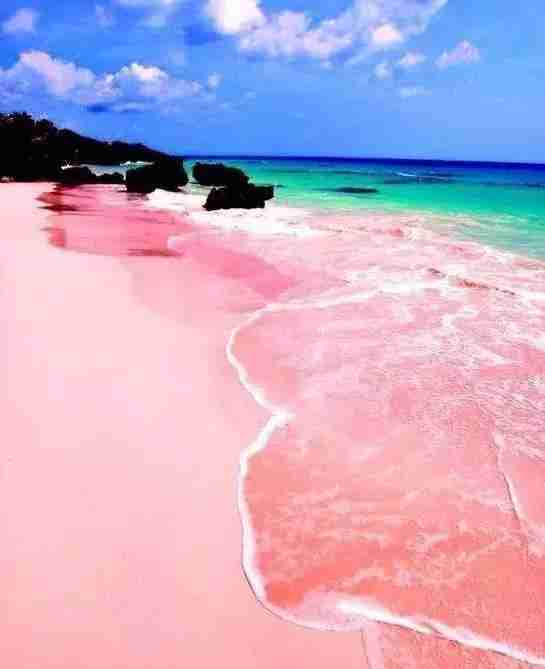 2018最新免簽和落地簽國家名單大全