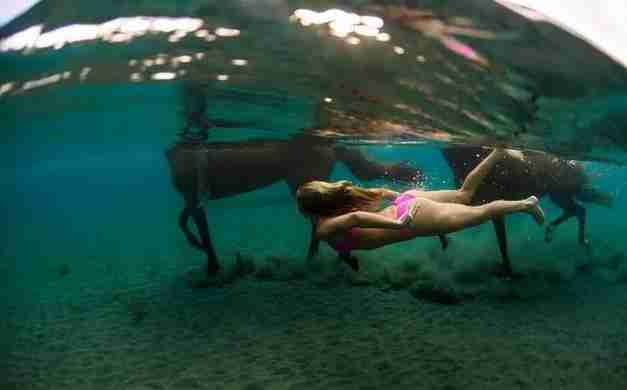 2018最新免簽和落地簽國家名單大全