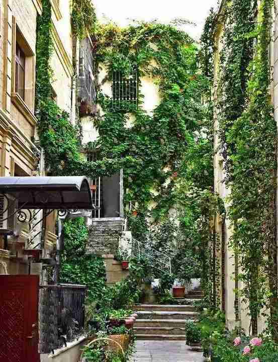 2018最新免簽和落地簽國家名單大全