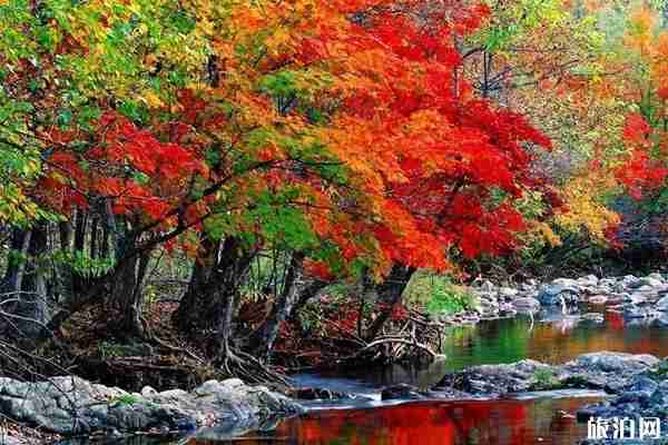 关门山门票多少钱一张 关门山秋色怎么样 关门山门票多少钱一张 关门山秋色怎么样