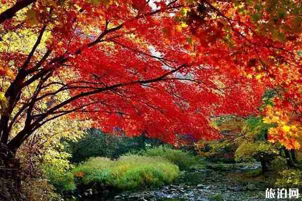 关门山门票多少钱一张 关门山秋色怎么样 关门山门票多少钱一张 关门山秋色怎么样