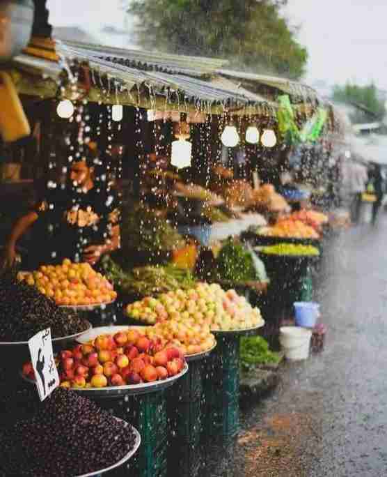 2018最新免簽和落地簽國家名單大全