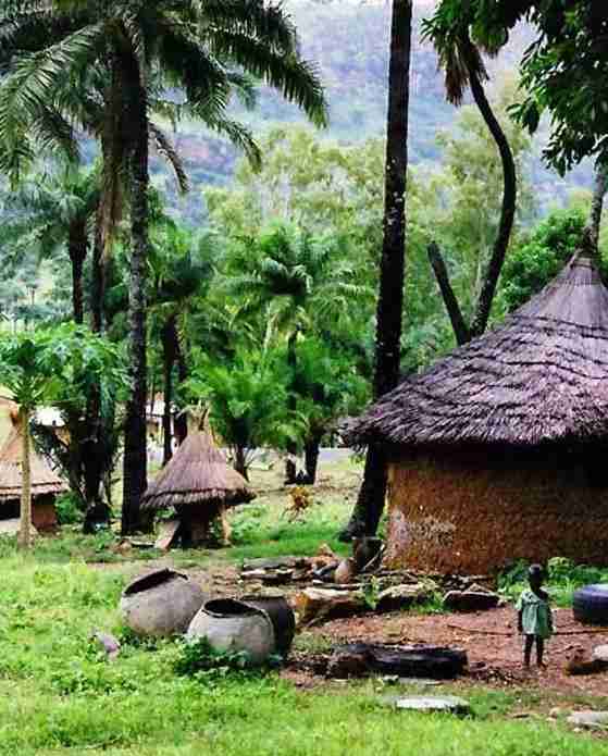 2018最新免簽和落地簽國家名單大全