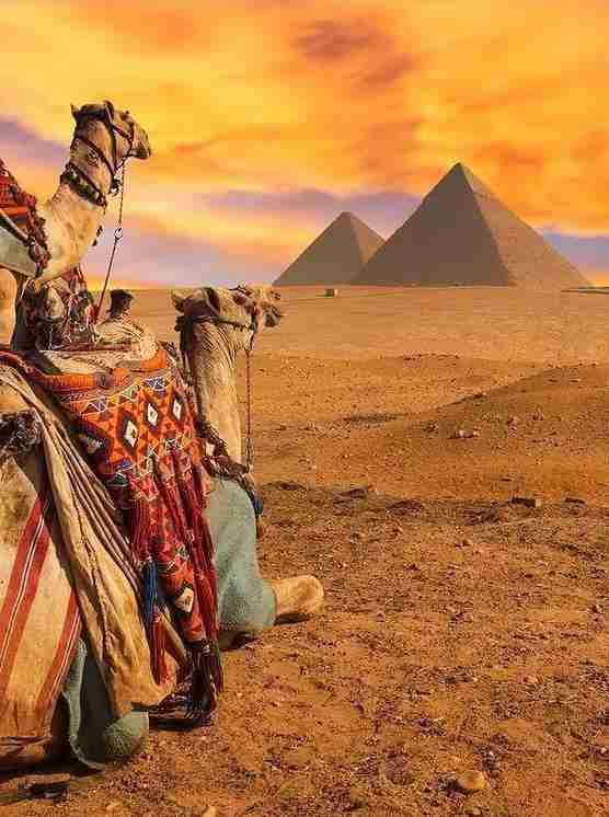 2018最新免簽和落地簽國家名單大全