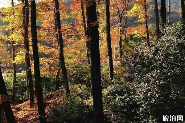 五云山爬山路线 五云山在哪里+交通
