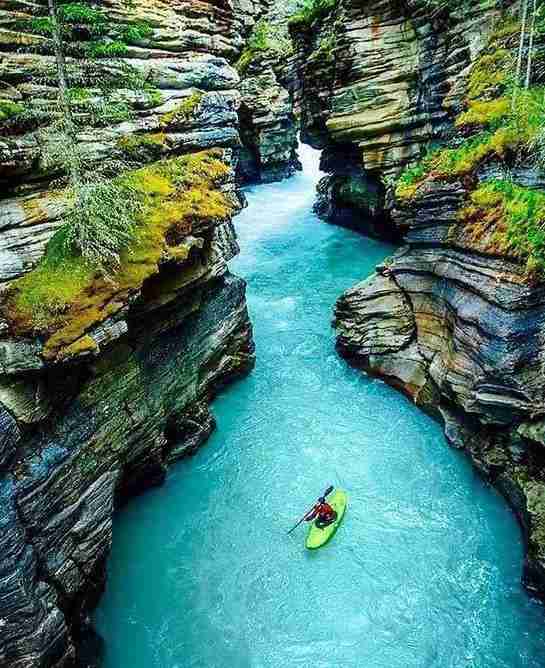 2018最新免簽和落地簽國家名單大全