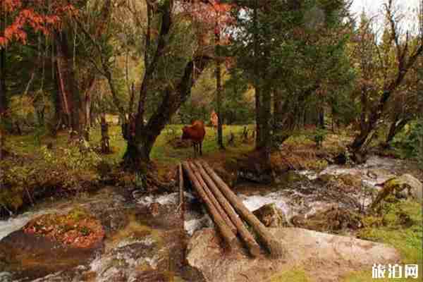孟屯河谷景点有哪些 适合赏秋的地方有哪些