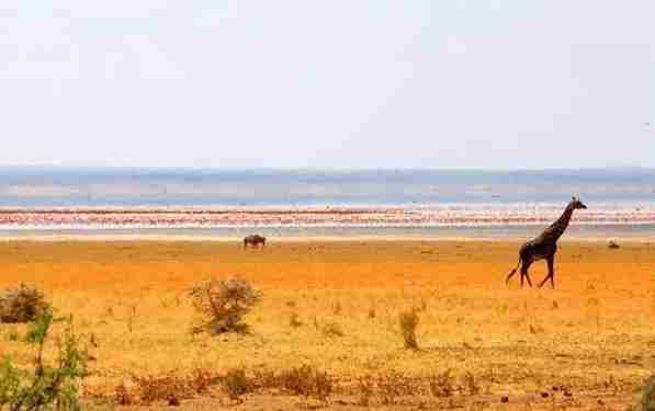 2018最新免簽和落地簽國家名單大全