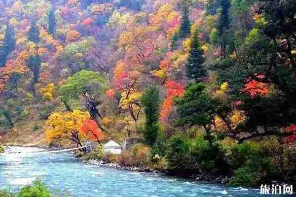 2019毕棚沟红叶最佳时间+自驾路线 2019毕棚沟红叶最佳时间+自驾路线