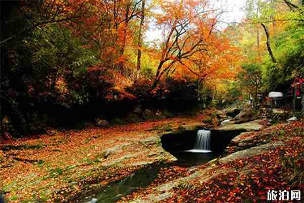 黎坪赏秋自驾攻略 附2019黎坪红叶节门票价格 黎坪赏秋自驾攻略 附2019黎坪红叶节门票价格
