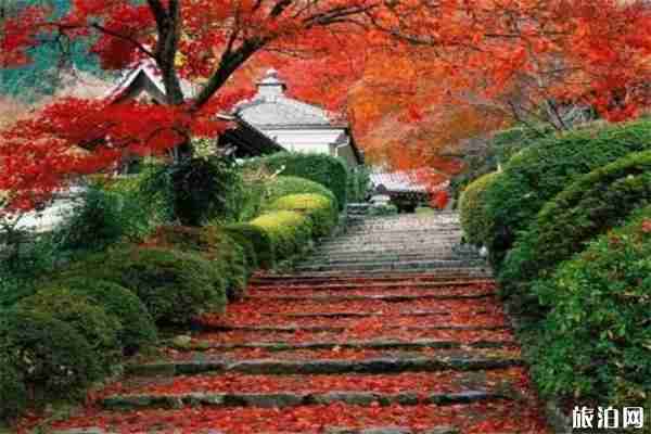 北京香山公园索道门票价格+许愿地点