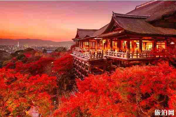 日本网红打卡地推荐 日本网红打卡地推荐