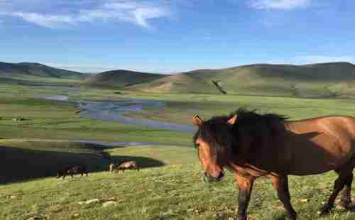 去乌兰巴托需要签证吗 乌兰巴托入境最新攻略 去乌兰巴托需要签证吗 乌兰巴托入境最新攻略