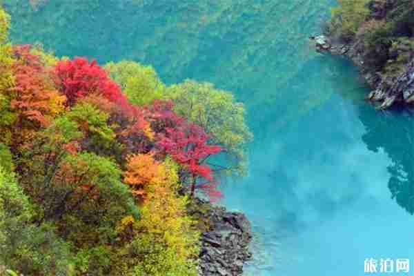 10月四川红叶哪里最好看 四川赏秋红叶胜地红叶情况
