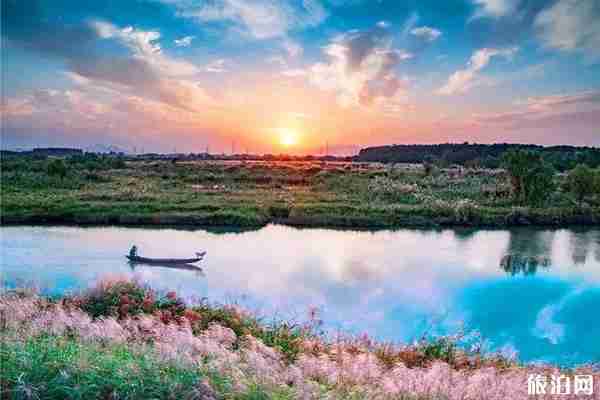 浙江芦苇荡在哪里看+门票+介绍
