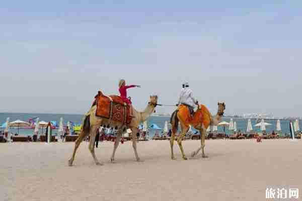 迪拜海滩哪里好玩