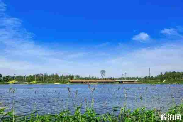 成都哪里可以看蘆葦