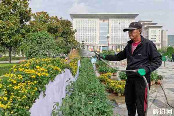 2019宝鸡菊花展时间+地点+介绍