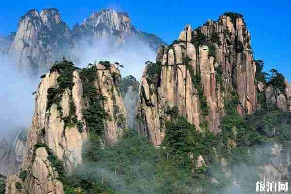 南昌周边哪里枫叶最美 南昌周边哪里枫叶最美