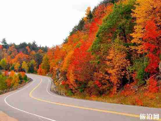 没有工作可以申请加拿大旅游签证吗 没有工作可以申请加拿大旅游签证吗