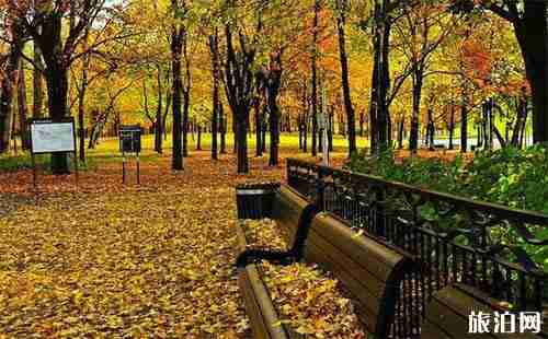 加拿大留学IMM1294表的填写模板 教你怎么填写 加拿大留学IMM1294表的填写模板 教你怎么填写