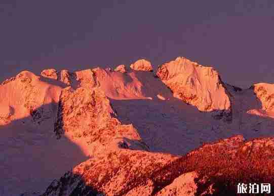 加拿大商务签证拒签怎么办 可以申诉吗 加拿大商务签证拒签怎么办 可以申诉吗