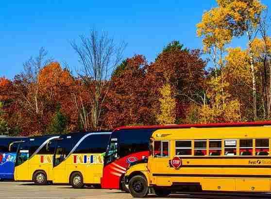 加拿大境内转学是否需要重新办理学生证 加拿大境内转学是否需要重新办理学生证