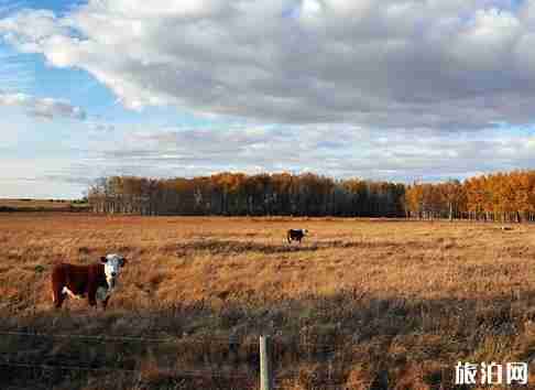 加拿大留学签证办理完后相关材料会退还吗 加拿大留学签证办理完后相关材料会退还吗