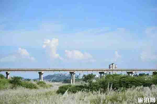 成都周邊哪里蘆葦漂亮+門票+交通