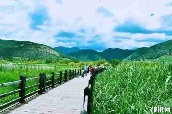 成都周邊哪里蘆葦漂亮+門票+交通