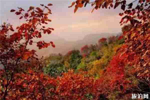 河南10月賞秋好去處 青天河+老界嶺+木札嶺