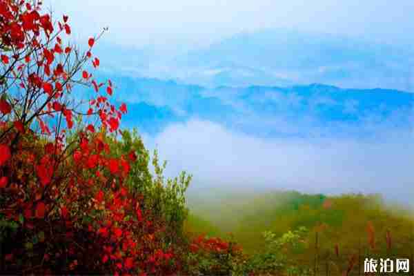 河南10月賞秋好去處 青天河+老界嶺+木札嶺