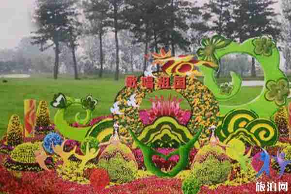 小欖菊花展是什么時候2019 2019小欖菊花展門票+地點+活動介紹 小欖菊花展是什么時候2019 2019小欖菊花展門票+地點+活動介紹